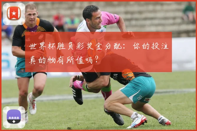 世界杯胜负彩奖金分配:你的投注真的物有所值吗?