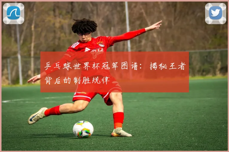 乒乓球世界杯冠军图谱：揭秘王者背后的制胜规律