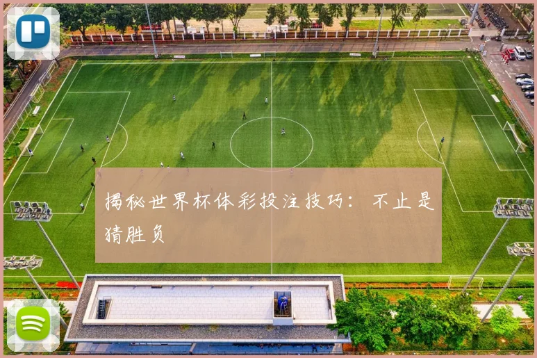 揭秘世界杯体彩投注技巧：不止是猜胜负