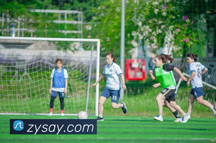 云开体app登录入口平台生态图