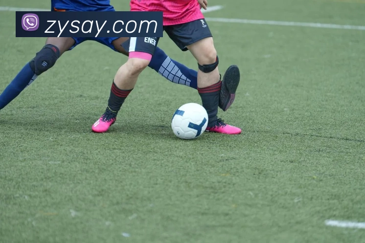 云开体app登录入口APP 封面图